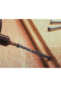 Co2 Redwood Stainless Steel Screws